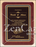 8 X 10 1/2 Rosewood stained finish plaque with black border