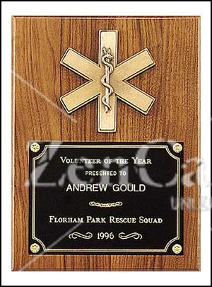 9 X 12 Emergency Medical Award - Click Image to Close