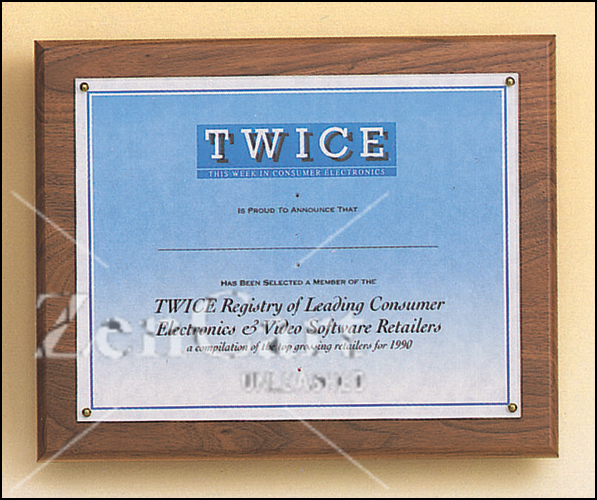 10 1/2" X 13" Photo or Certificate plaque - Click Image to Close