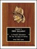 8 X 10 Firematic Award with Antique Bronze Finish Casting